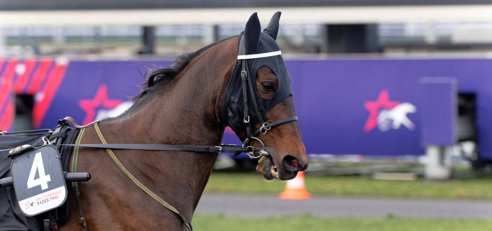 Hussard Du Ladret bliver givetvis favorit i styrkeprøven Prix de Paris.