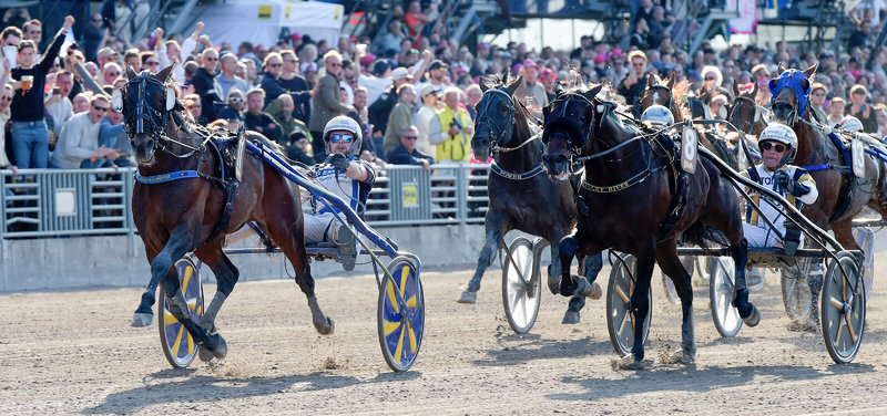 Eric The Eel jagter en Prix d´Amerique-billet