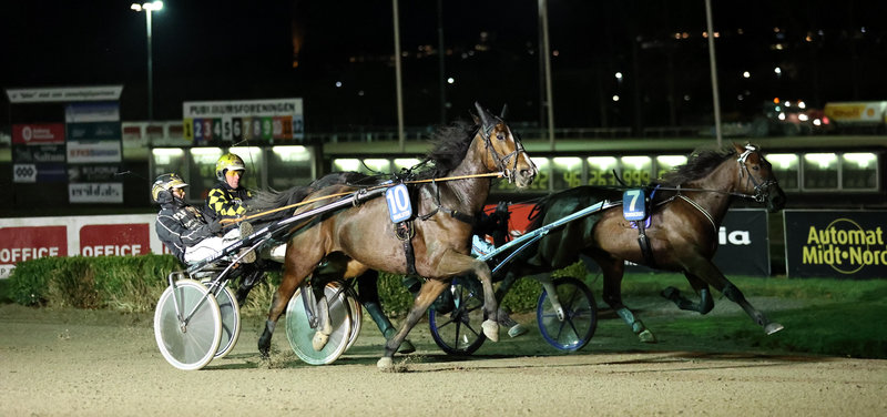 Aalborg 22. februar - husk tipsanalyserne til alle løb på Bet25